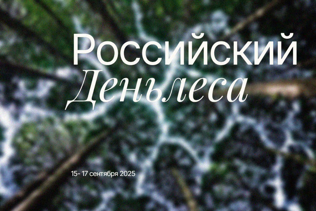 Российский день леса 2025: от истоков к будущему. Что нас ждет с 15 по 17 сентября?