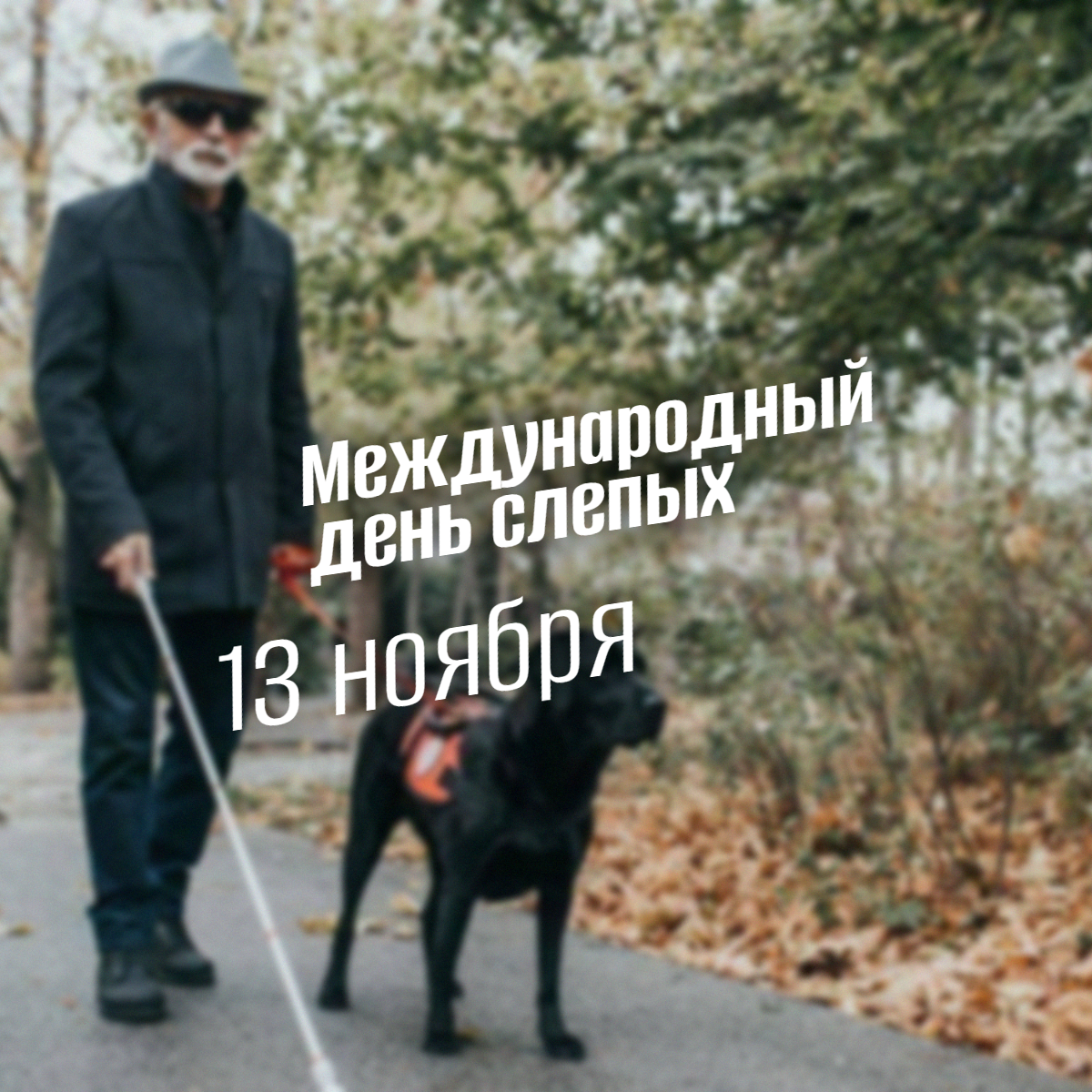 Международный день слепых 13 ноября: история, эмпатия и мир без барьеров