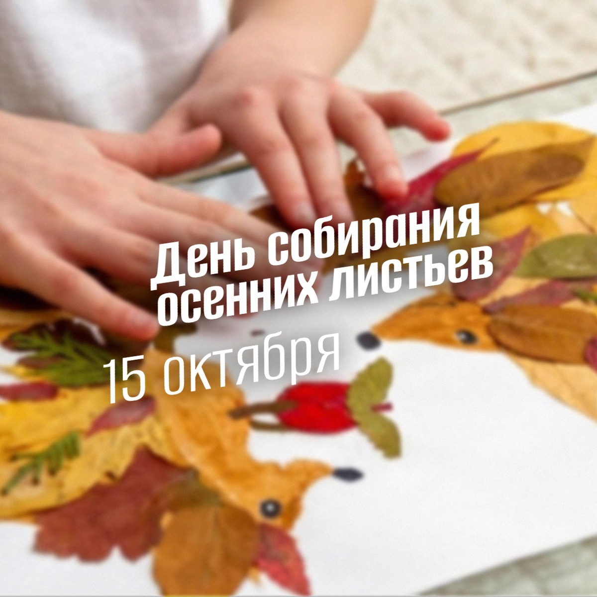 15 октября 2025: День собирания осенних листьев — история, афиша