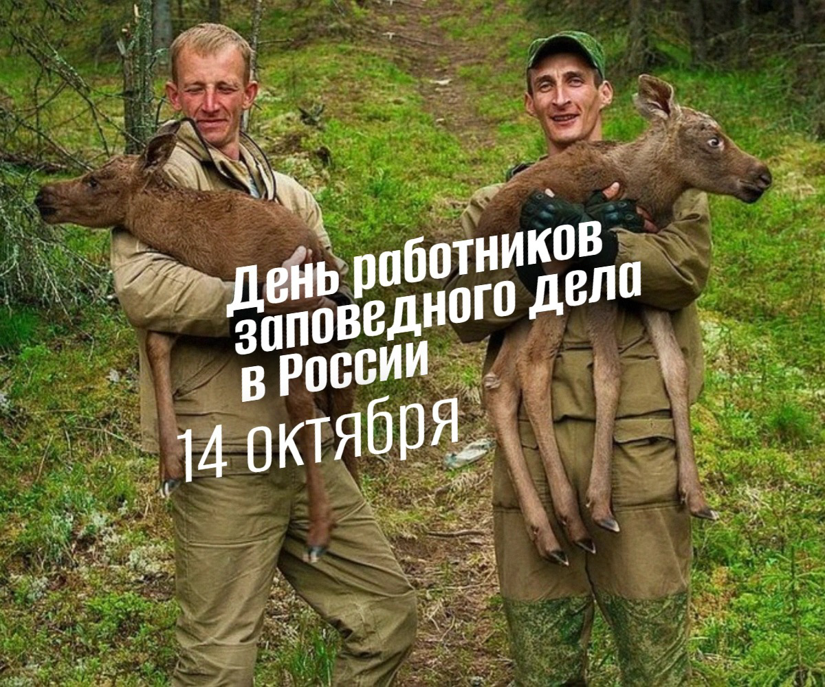 14 октября: День работников заповедного дела в России. История и 2025