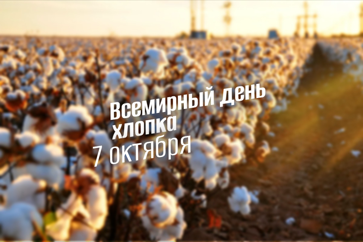 Всемирный день хлопка 7 октября 2025: История, традиции, события