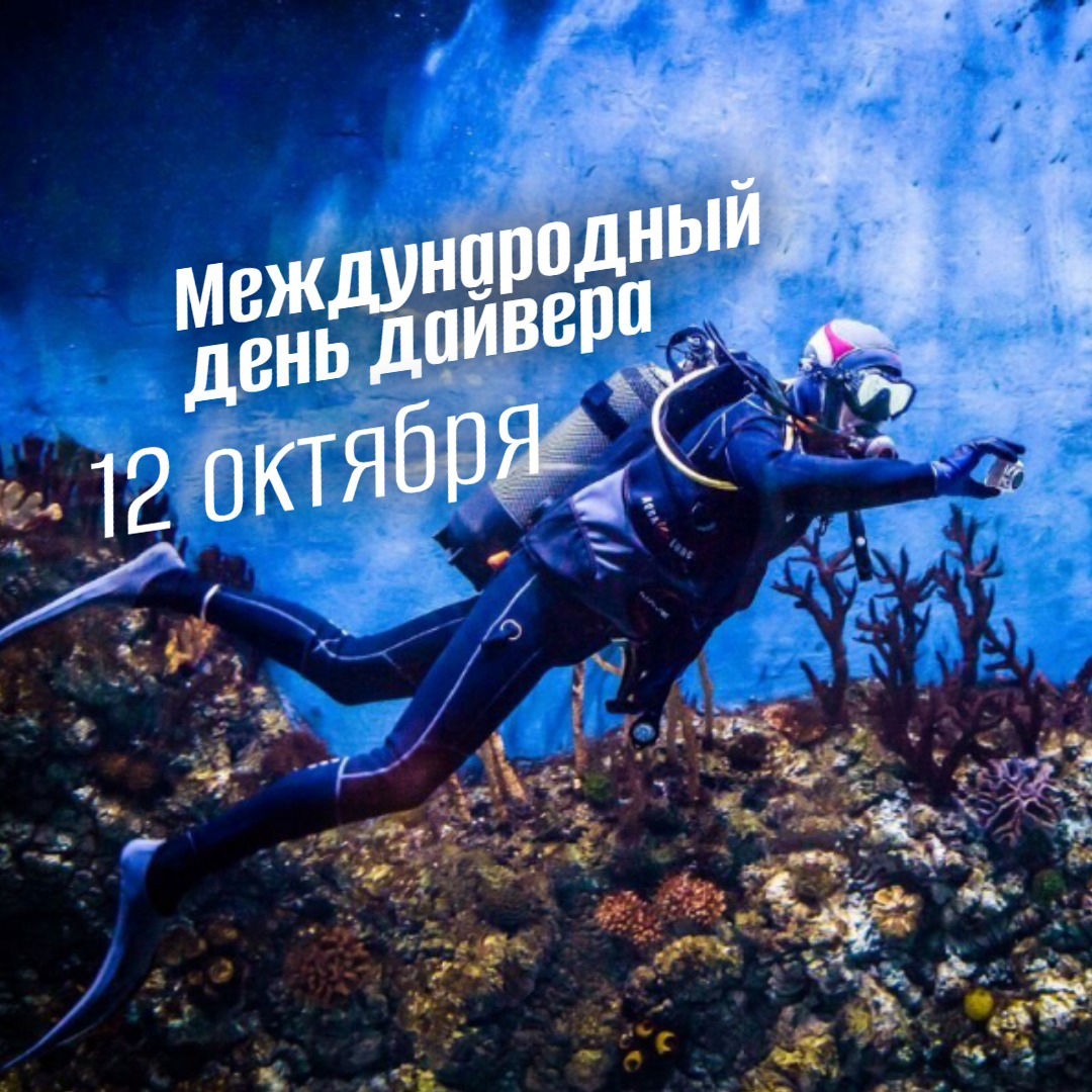Международный день дайвера 12 октября 2025: Программа, история и традиции