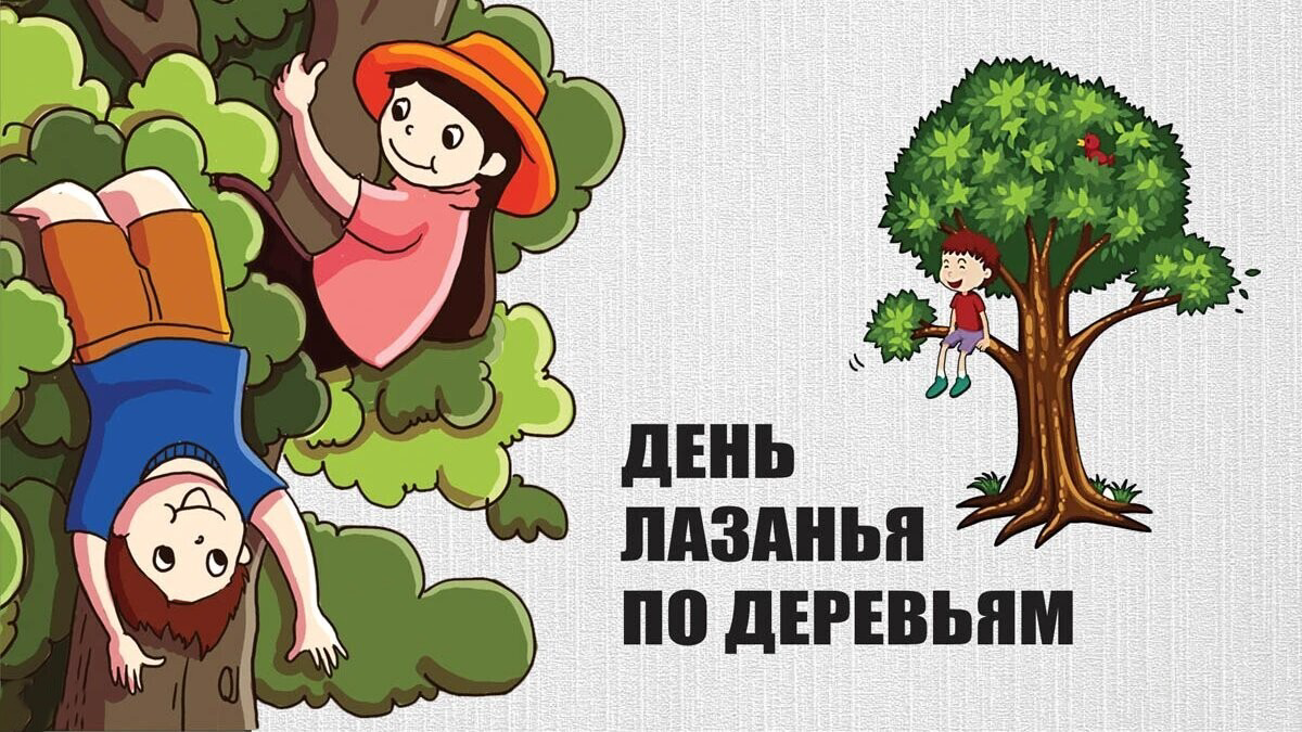День лазанья по деревьям: 25 августа – праздник для тех, кто не боится высоты!