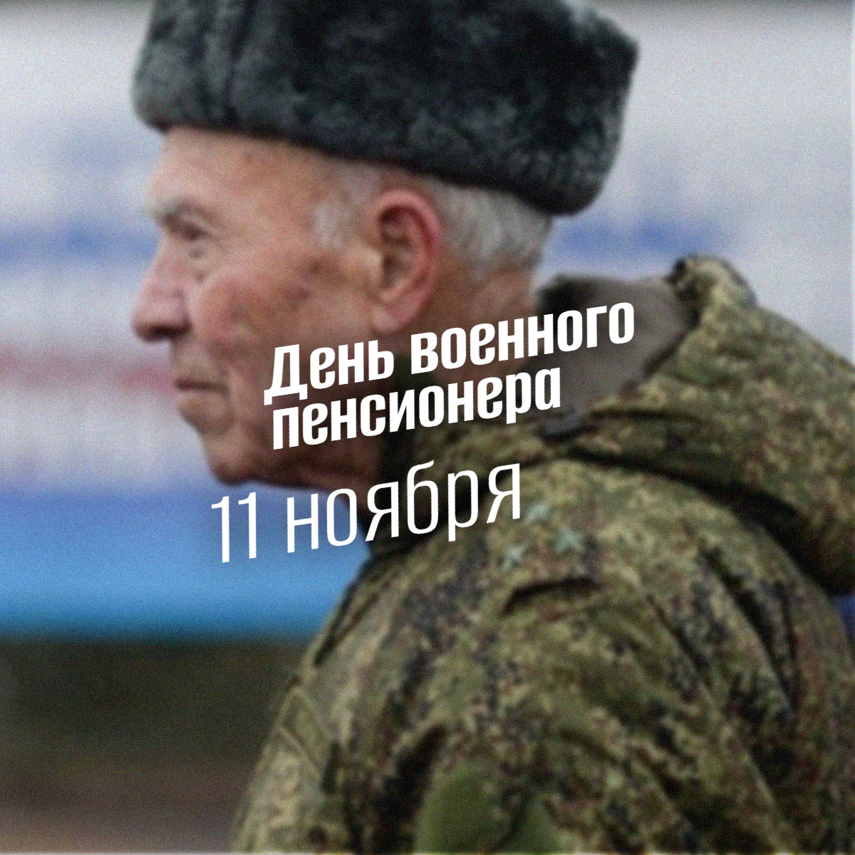 День военного пенсионера 11 ноября: история, традиции и чествование героев мирного времени